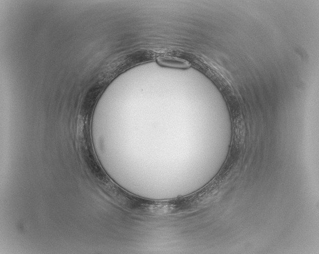 X0000116390225200912231115