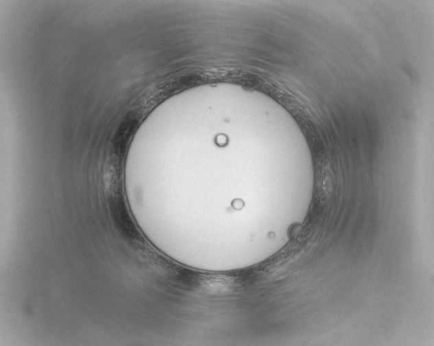 X0000116390226200912231115