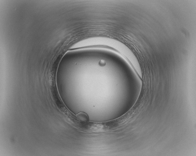 X0000116390227200912231115