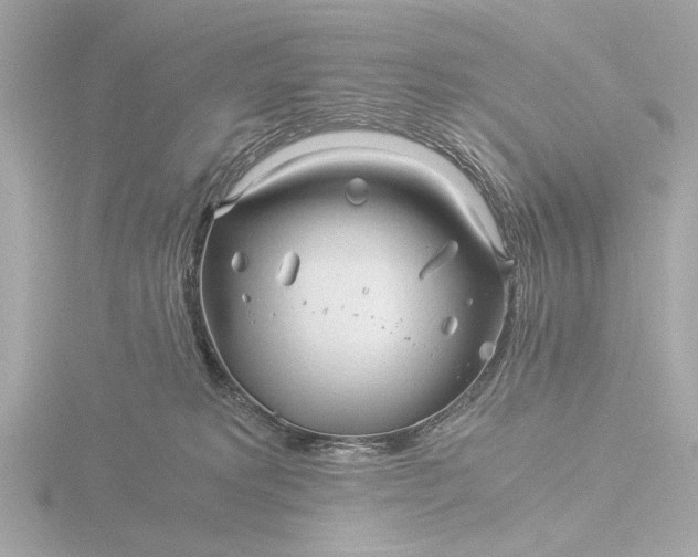 X0000116390229200912231115