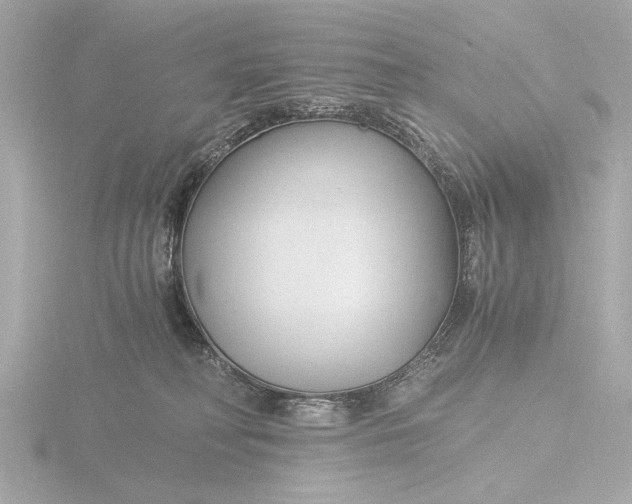 X0000116390230200912231115