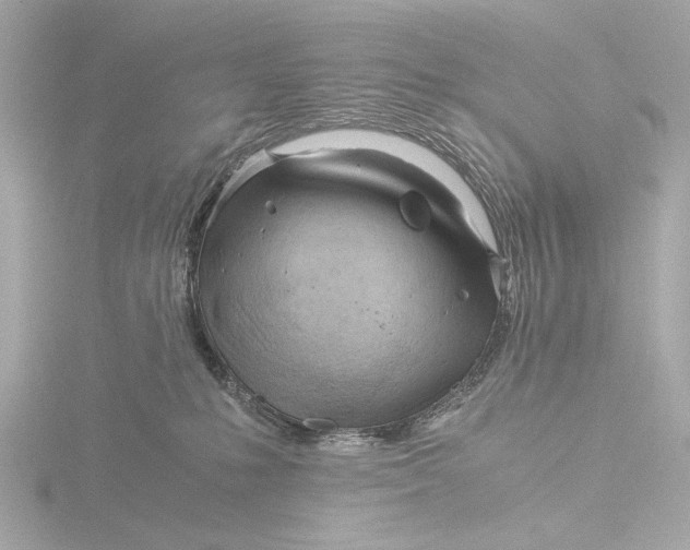 X0000116390231200912231115