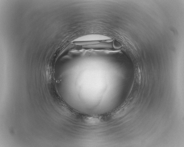 X0000116390232200912231115