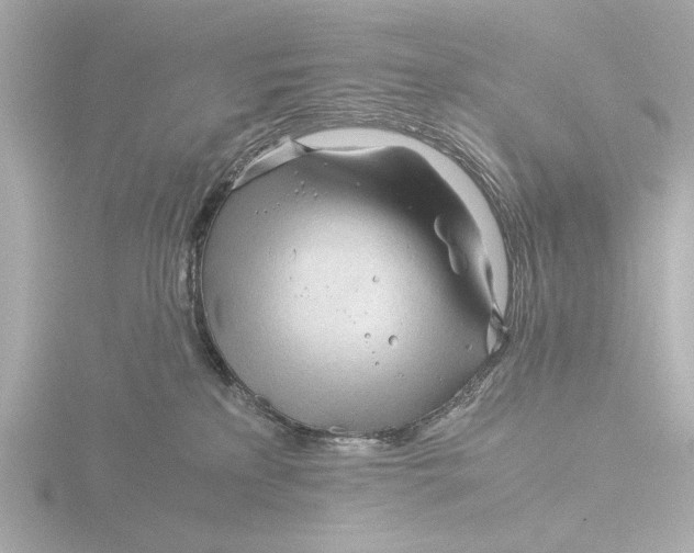 X0000116390233200912231115