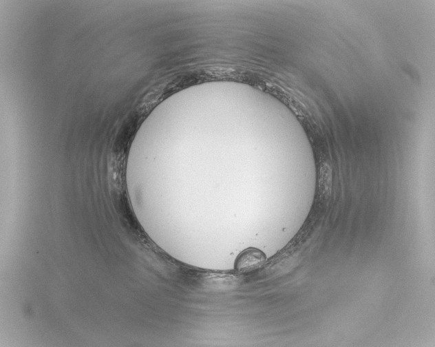 X0000116390234200912231115