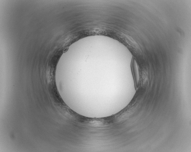 X0000116390236200912231115