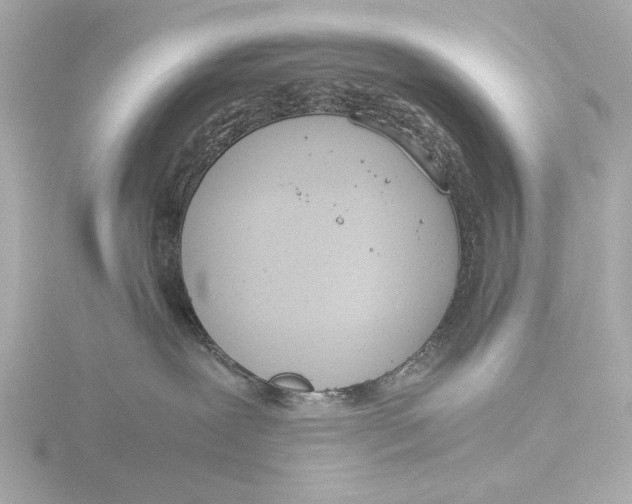 X0000116390239200912231115