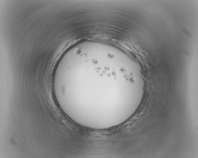 X0000116390241200912231115