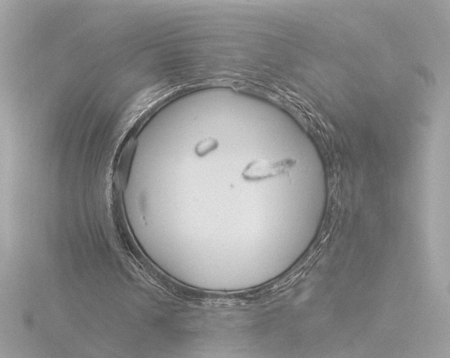 X0000116390242200912231115