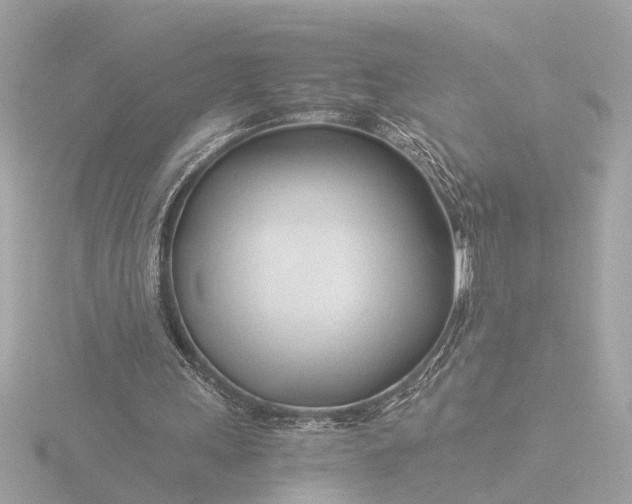 X0000116390243200912231115