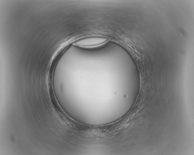 X0000116390244200912231115