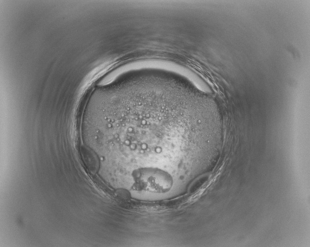 X0000116390245200912231115