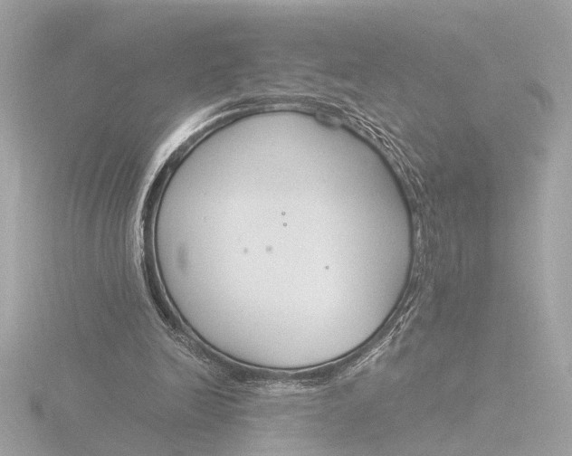 X0000116390246200912231115