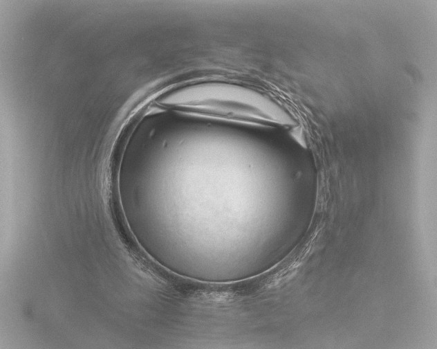 X0000116390247200912231115