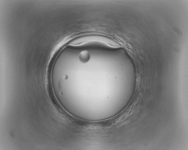 X0000116390248200912231115