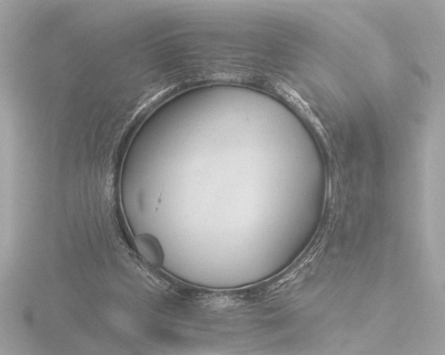 X0000116390249200912231115