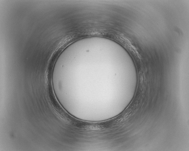 X0000116390250200912231115