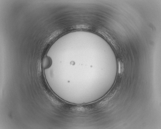 X0000116390253200912231115