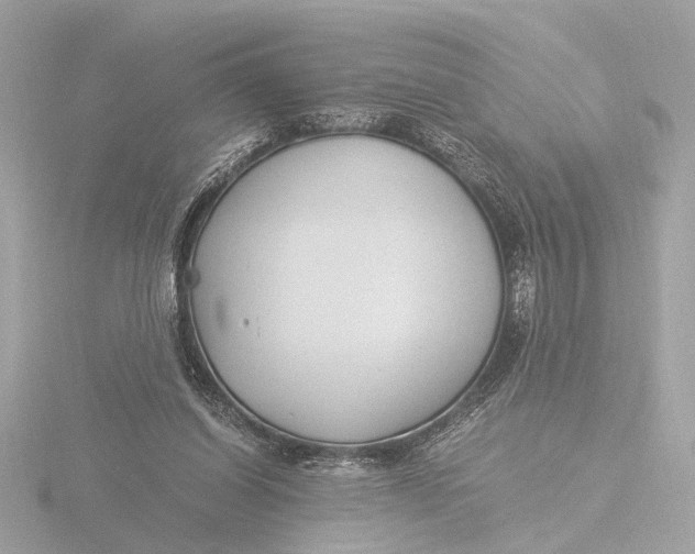 X0000116390254200912231115