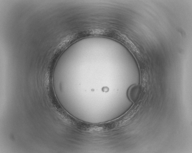 X0000116390257200912231115