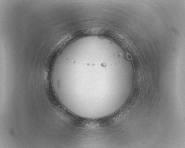 X0000116390258200912231115