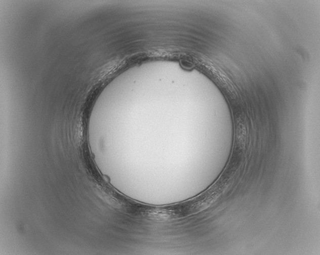 X0000116390261200912231115