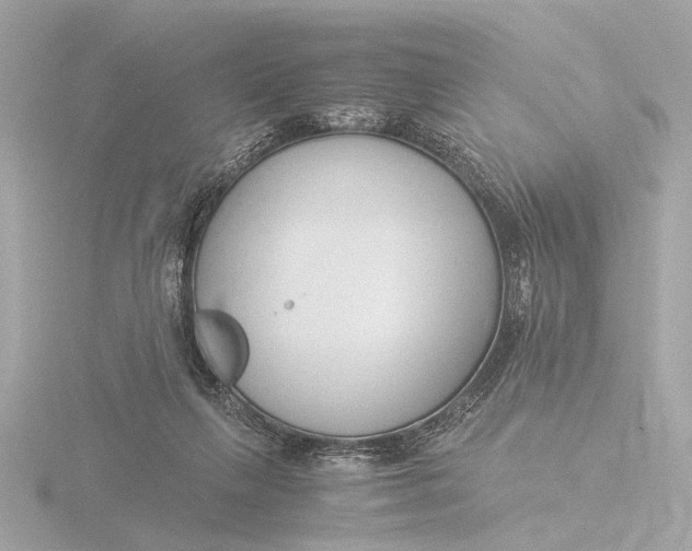 X0000116390263200912231115