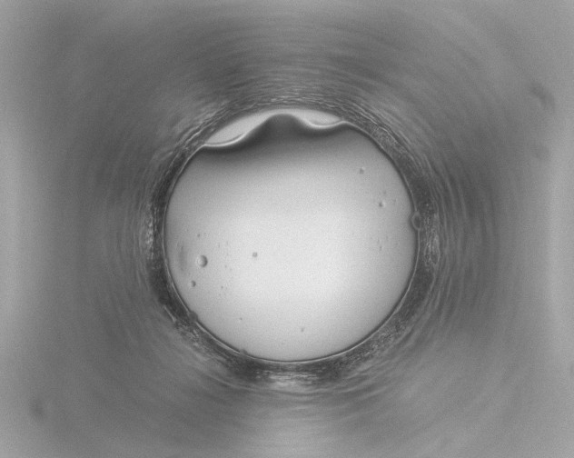 X0000116390268200912231115