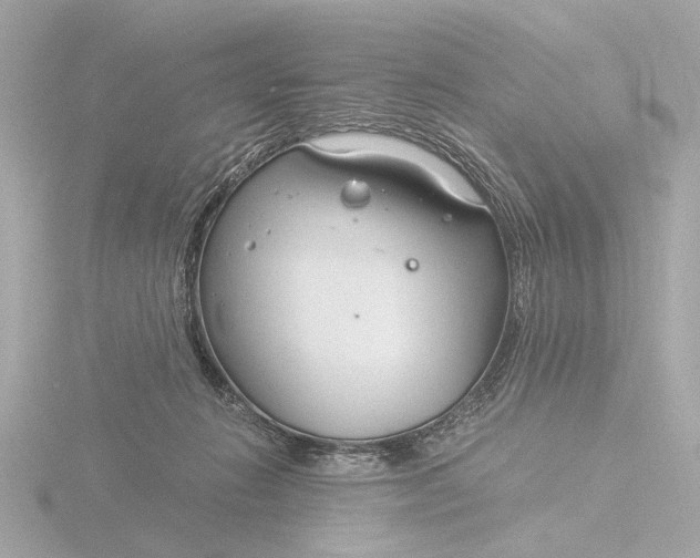 X0000116390270200912231115