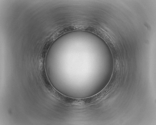 X0000116390271200912231115