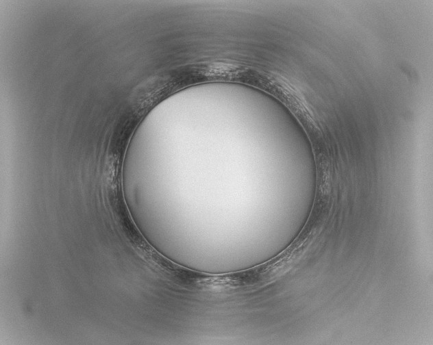 X0000116390273200912231115