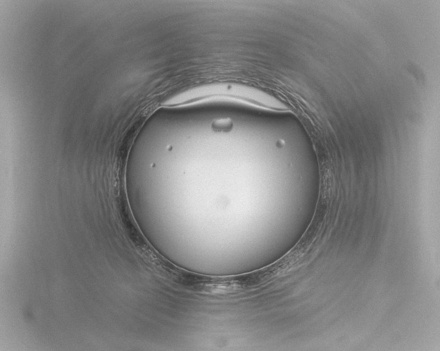 X0000116390274200912231115