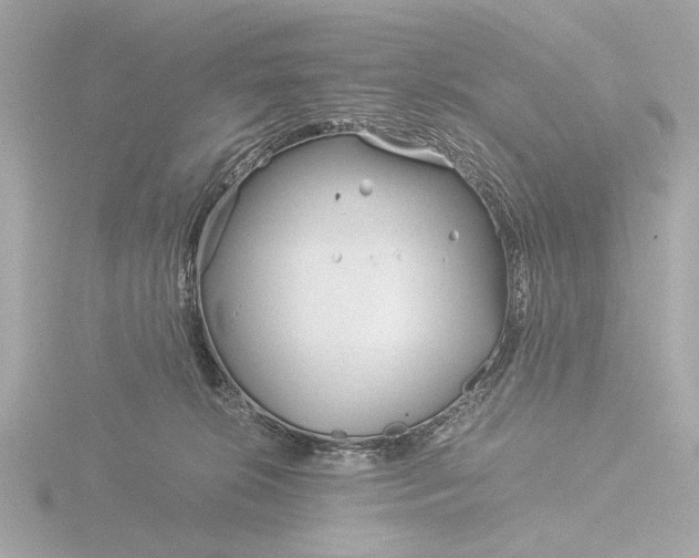 X0000116390276200912231115