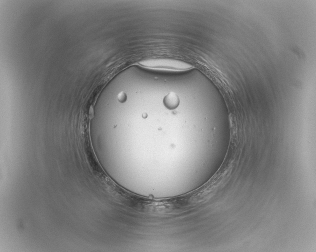 X0000116390277200912231115