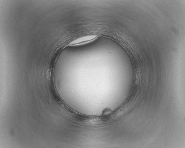 X0000116390278200912231115