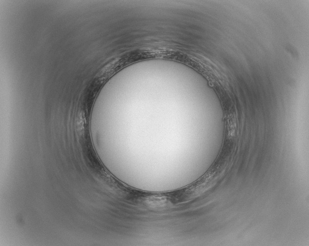 X0000116390279200912231115