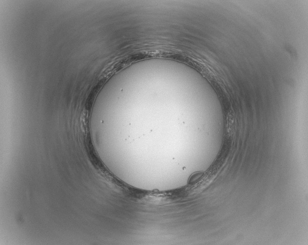 X0000116390280200912231115