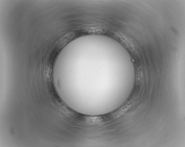 X0000116390281200912231115