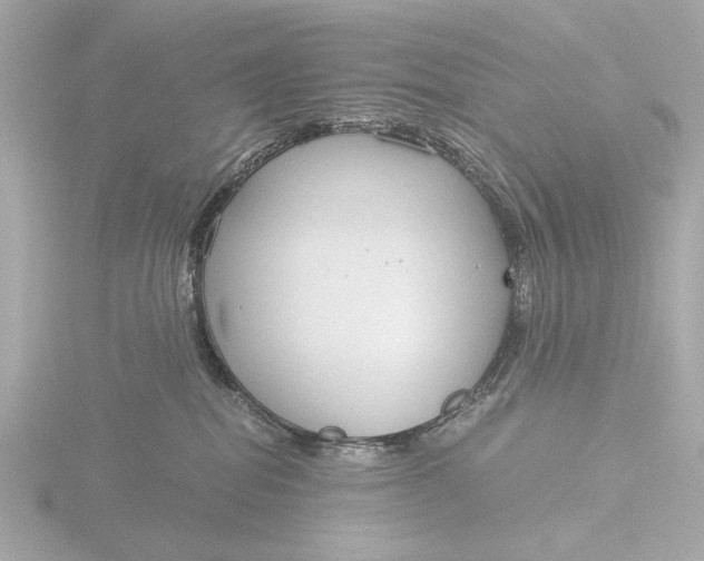 X0000116390282200912231115