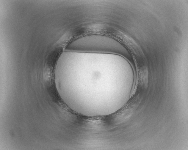 X0000116390284200912231115