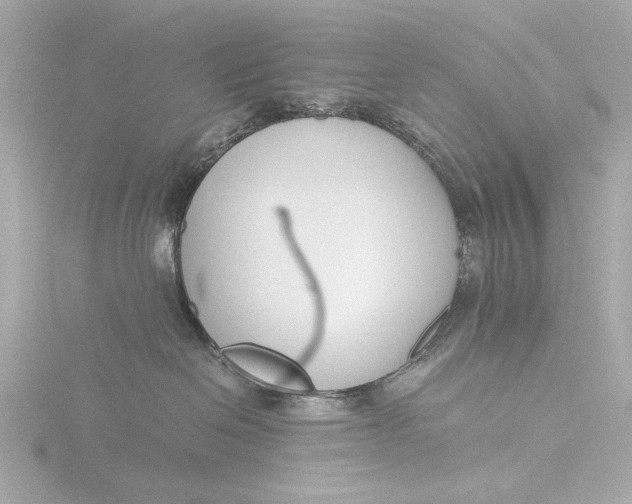 X0000116390286200912231115