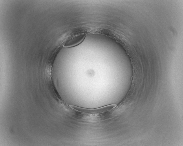 X0000116390288200912231115