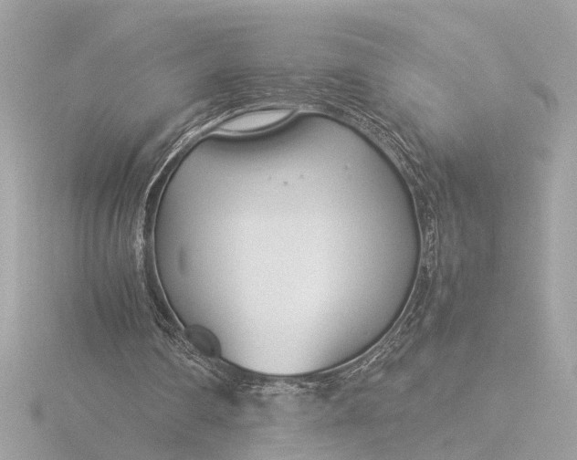 X0000116390290200912231115