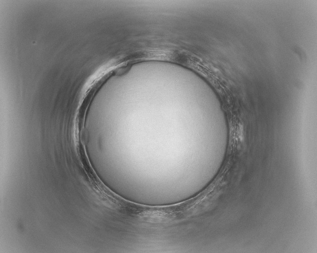 X0000116390294200912231114