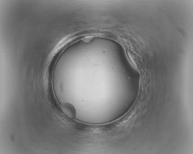 X0000116390295200912231114