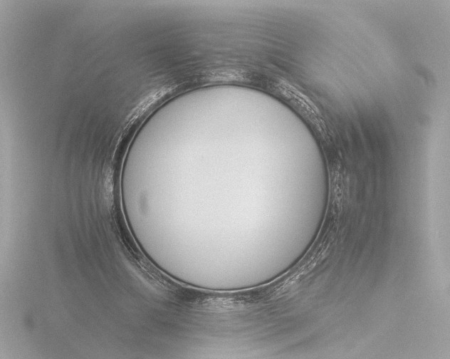 X0000116390298200912231114