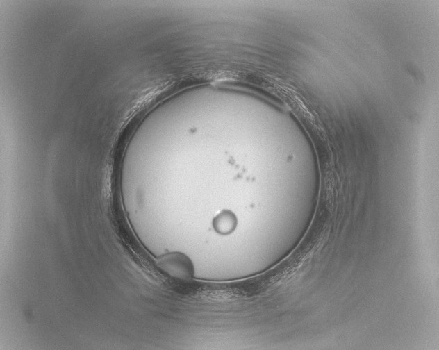 X0000116390299200912231114