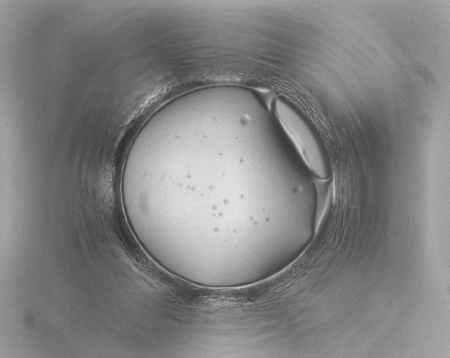 X0000116390300200912231114