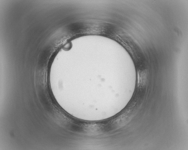 X0000116390301200912231114