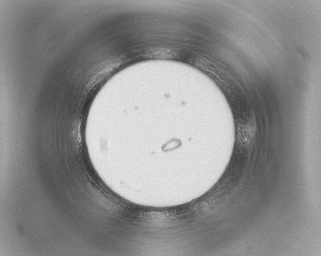 X0000116390302200912231114